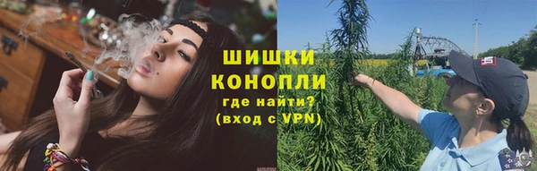 прущие грибы Армянск