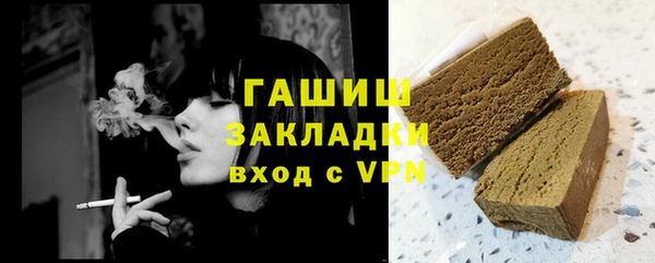 прущие грибы Армянск
