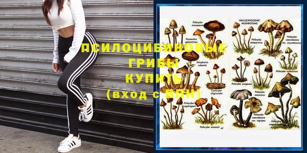 прущий лед Арсеньев