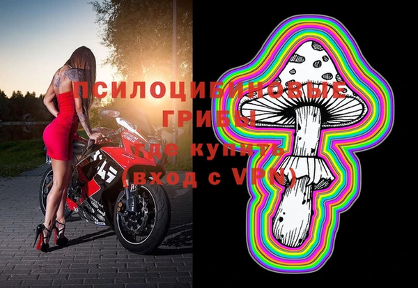 прущий лед Арсеньев
