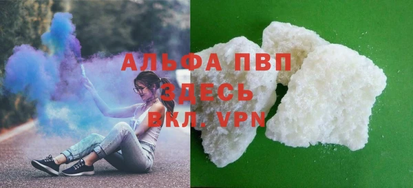 прущие грибы Армянск