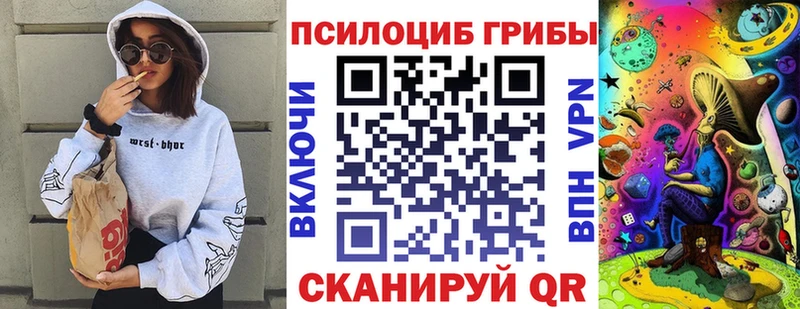 купить  цена  Злынка  гидра онион  Галлюциногенные грибы прущие грибы 