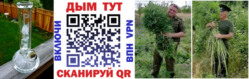 где продают   Злынка  нарко площадка состав  Бошки Шишки семена 